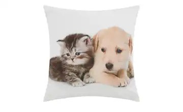como Kissen  Hund und Katze