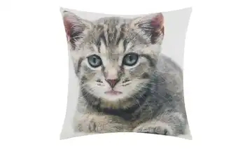 como Kissen  Kätzchen