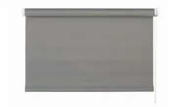 buchheister Klemmfixrollo 45 cm Grau