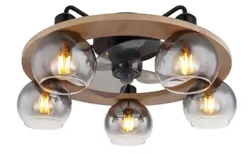 Globo Lighting Ventilator