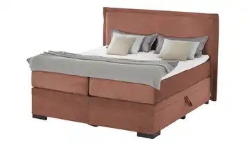 Jette Home Boxspringbett mit Bettkasten Adapt Zimt 160 cm H3 Komfortschaumkern