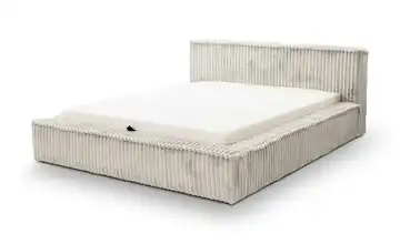 Polsterbett mit Stauraum Langport Grau 160 cm
