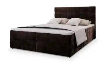 MASSENO Boxbett mit Bettkasten Glos 140x200 cm Dunkelbraun Teddy