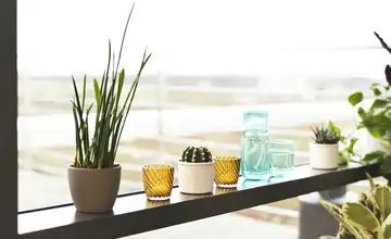 for friends Karaffe mit Glas Soft Touch