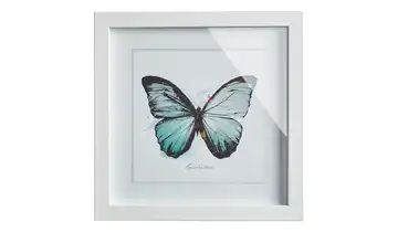 Gerahmtes Bild Framed Art "butterfly"