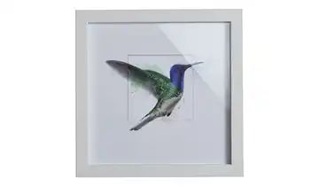 Gerahmtes Bild Framed Art "honeybird I"