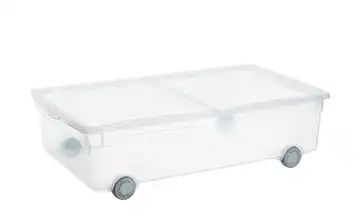 Aufbewahrungsbox mit Rollen