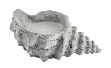 Muschelkerze