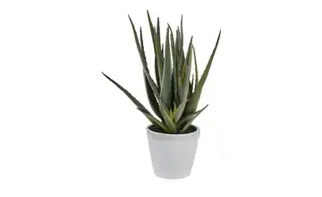  Aloe im Topf  Kunstblume