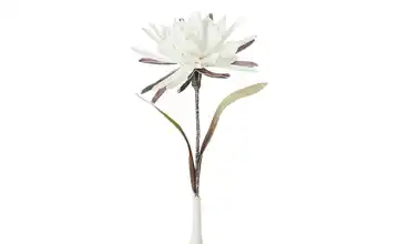 Soft Flower Kaktusblüte Weiß