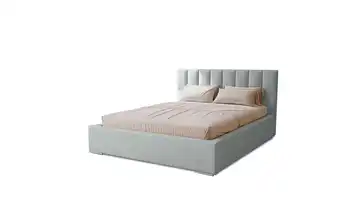 Polsterbett mit Stauraum Draven 200x200 cm silberfarben