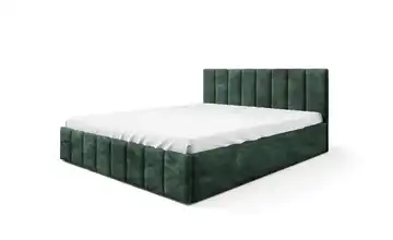 Polsterbett mit Bettkasten Eyla 120x200 cm Grün