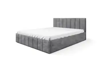 Polsterbett mit Bettkasten Eyla 120x200 cm Grau