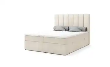  Polsterbett  Montana