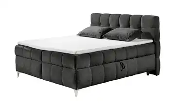 Boxbett mit Bettkasten Kylie Anthrazit kaschmirfarben