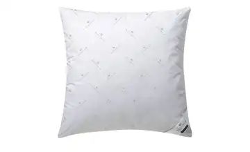 Billerbeck Kopfkissen Queen