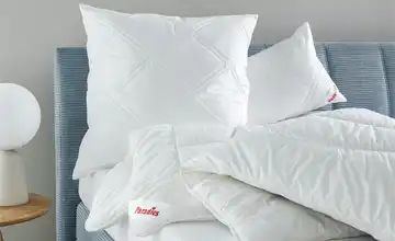 Paradies Kopfkissen Softy-Kosmo Plus Bio