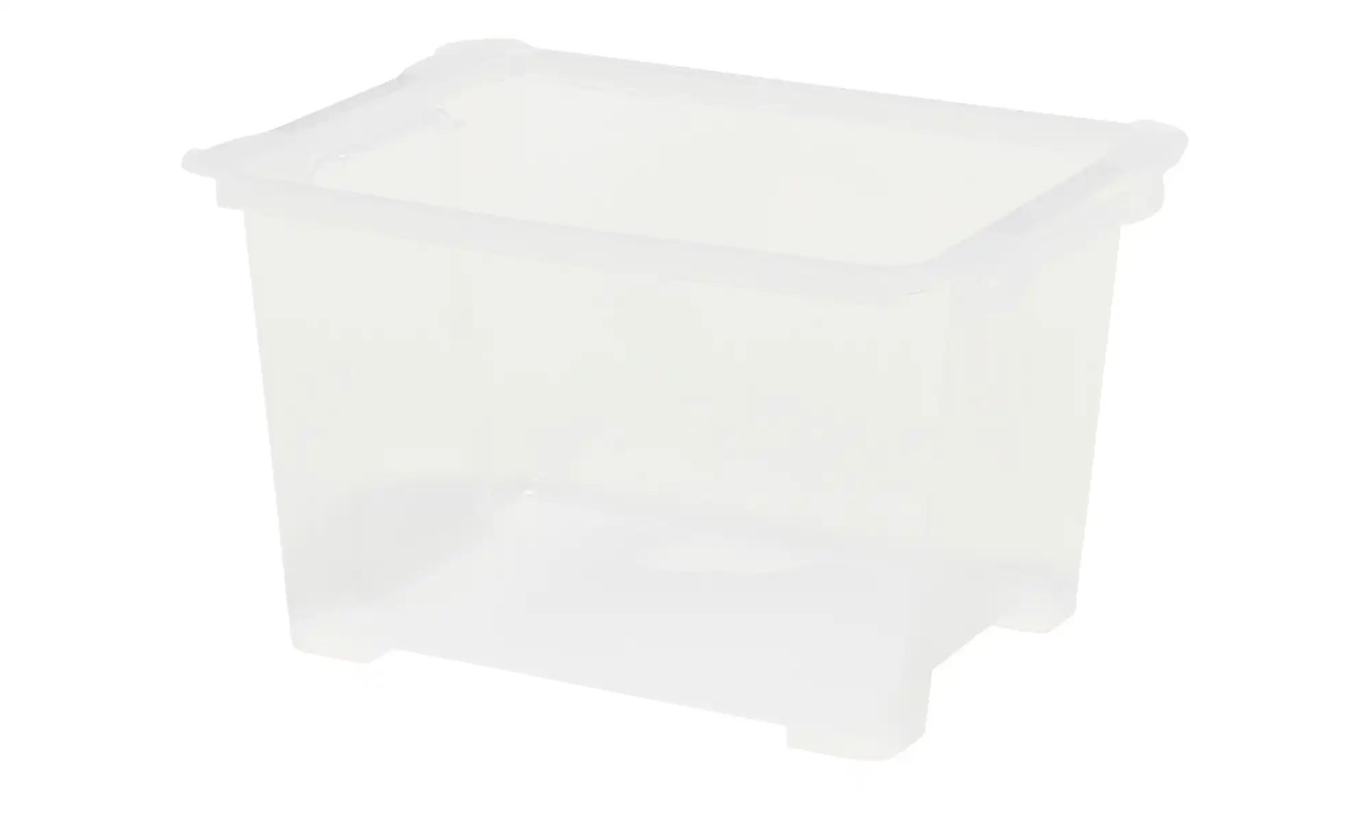 Rotho Aufbewahrungsbox  EVO EASY ¦ transparent/klar ¦ Kunststoff ¦ Maße (cm günstig online kaufen