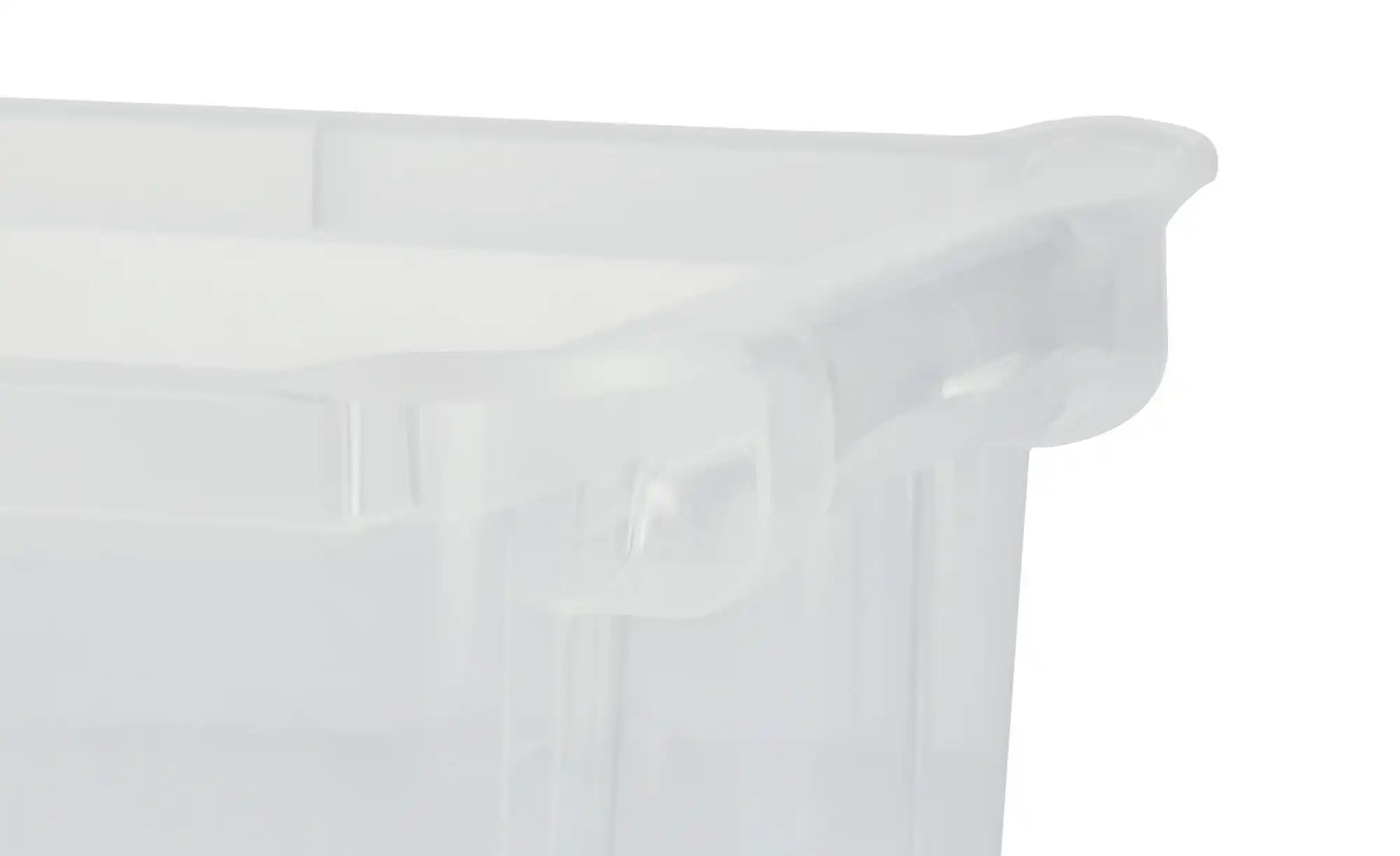 Rotho Aufbewahrungsbox  EVO EASY ¦ transparent/klar ¦ Kunststoff ¦ Maße (cm günstig online kaufen