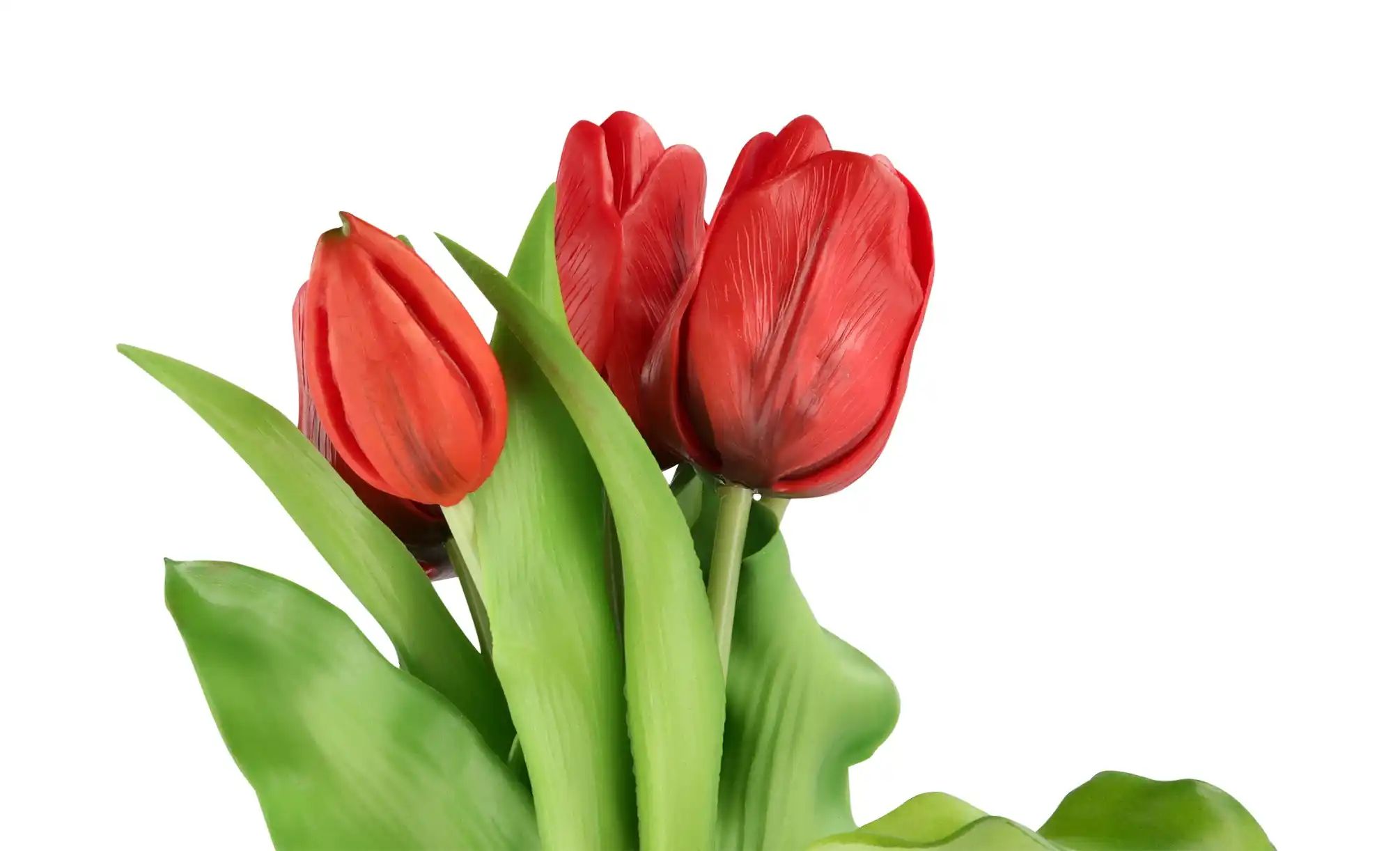 Thumbnail - Tulpenbund   ¦ rot ¦ Kunststoff ¦ Maße (cm): H: 28 Accessoires > Kunstblumen - Höffner