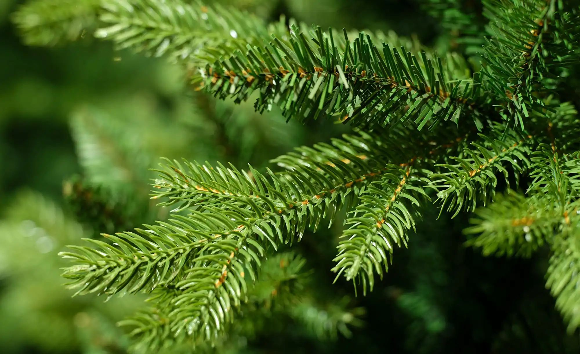 Thumbnail - Weihnachtsbaum   ¦ grün ¦ Kunststoff,Metall ¦ Maße (cm): H: 150  Ø: 97 Weihnachten - Höffner