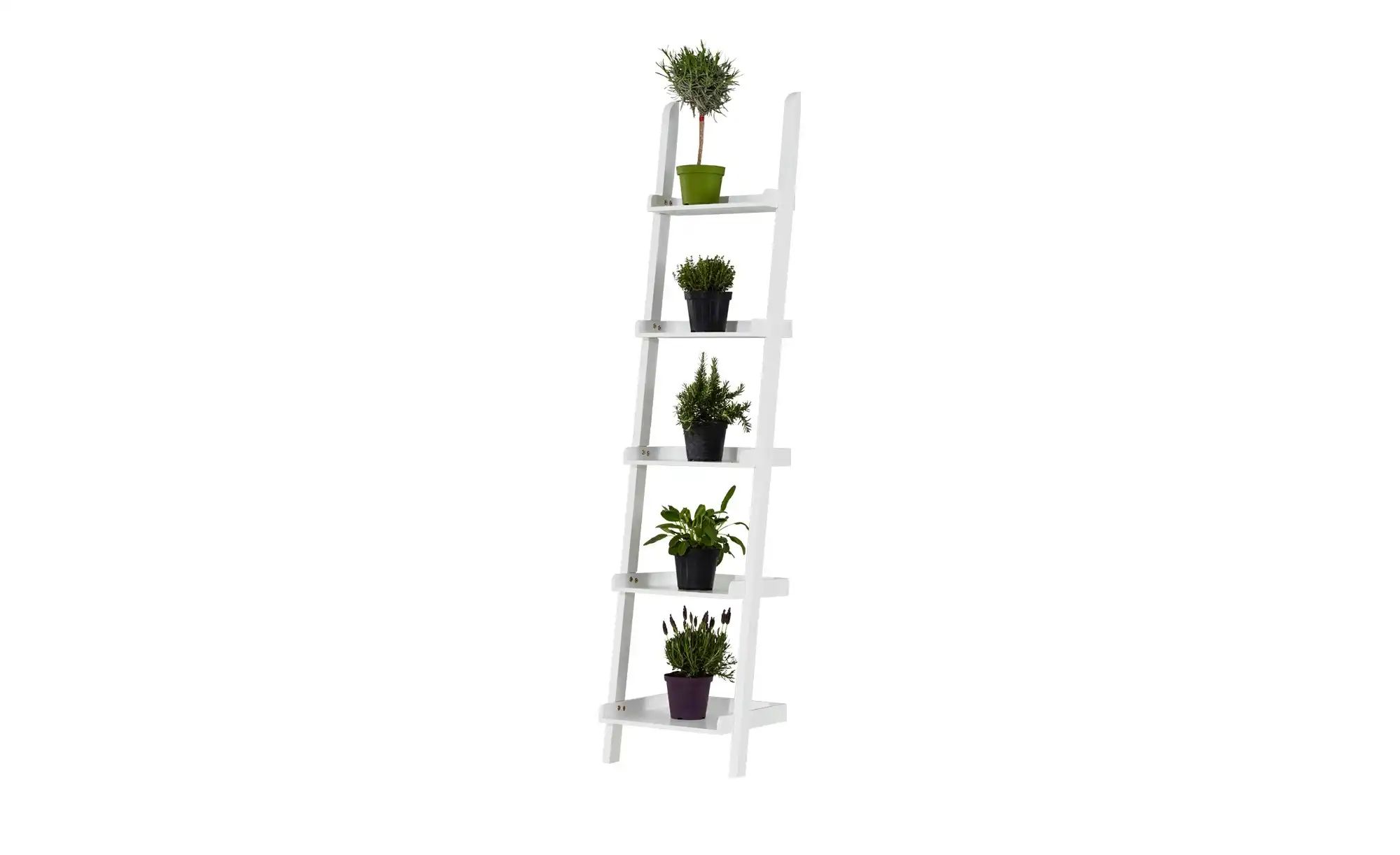 Leiterregal  Tresa ¦ weiß ¦ Maße (cm): B: 45 H: 191 T: 35.0 Regale > Standr günstig online kaufen