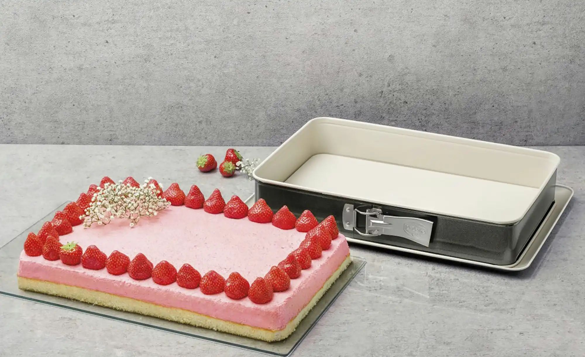Dr. Oetker Springform  Back-Trend ¦ grau ¦ Stahlblech ¦ Maße (cm): B: 25 H: günstig online kaufen