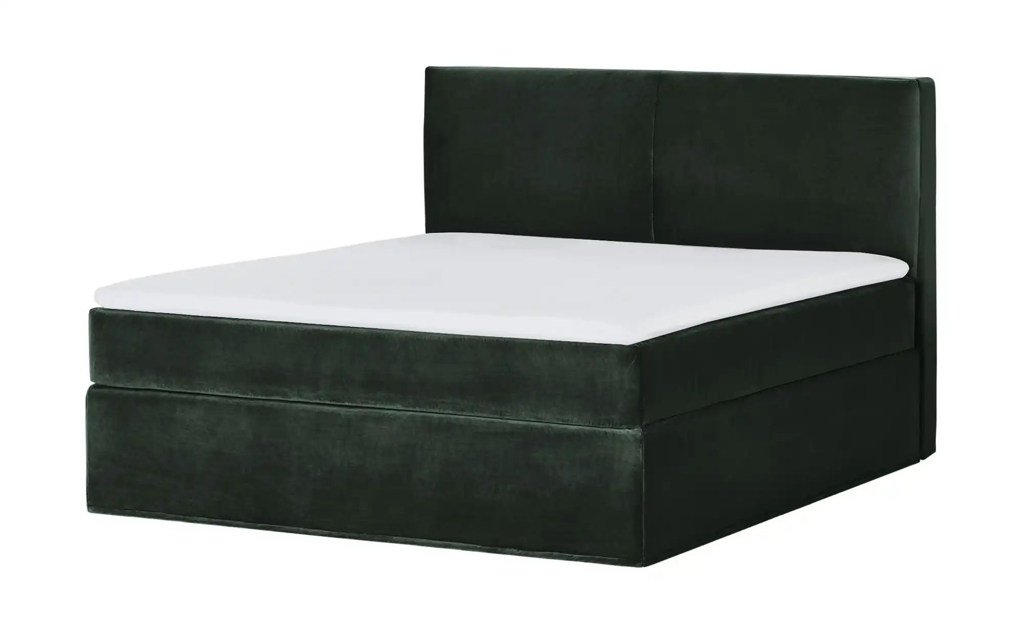 Thumbnail - Boxi Boxspringbett 160 x 200 cm  Boxi Classic ¦ grün ¦ Maße (cm): B: 160 H: 125 Betten > Boxspringbetten - Höffner