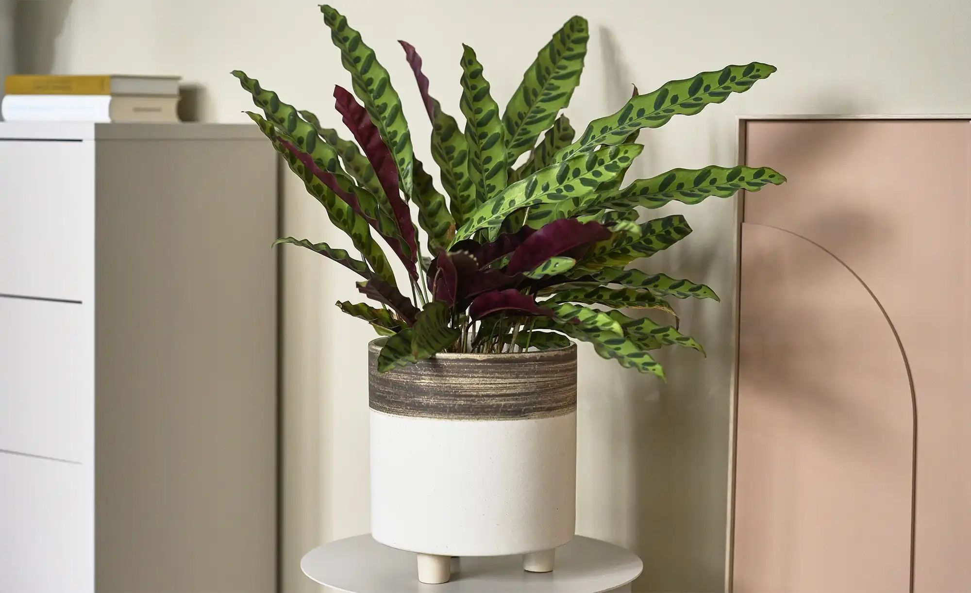 Thumbnail - Übertopf   ¦ creme ¦ Steingut ¦ Maße (cm): H: 25  Ø: 23 Accessoires > Dekoartikel - Höffner