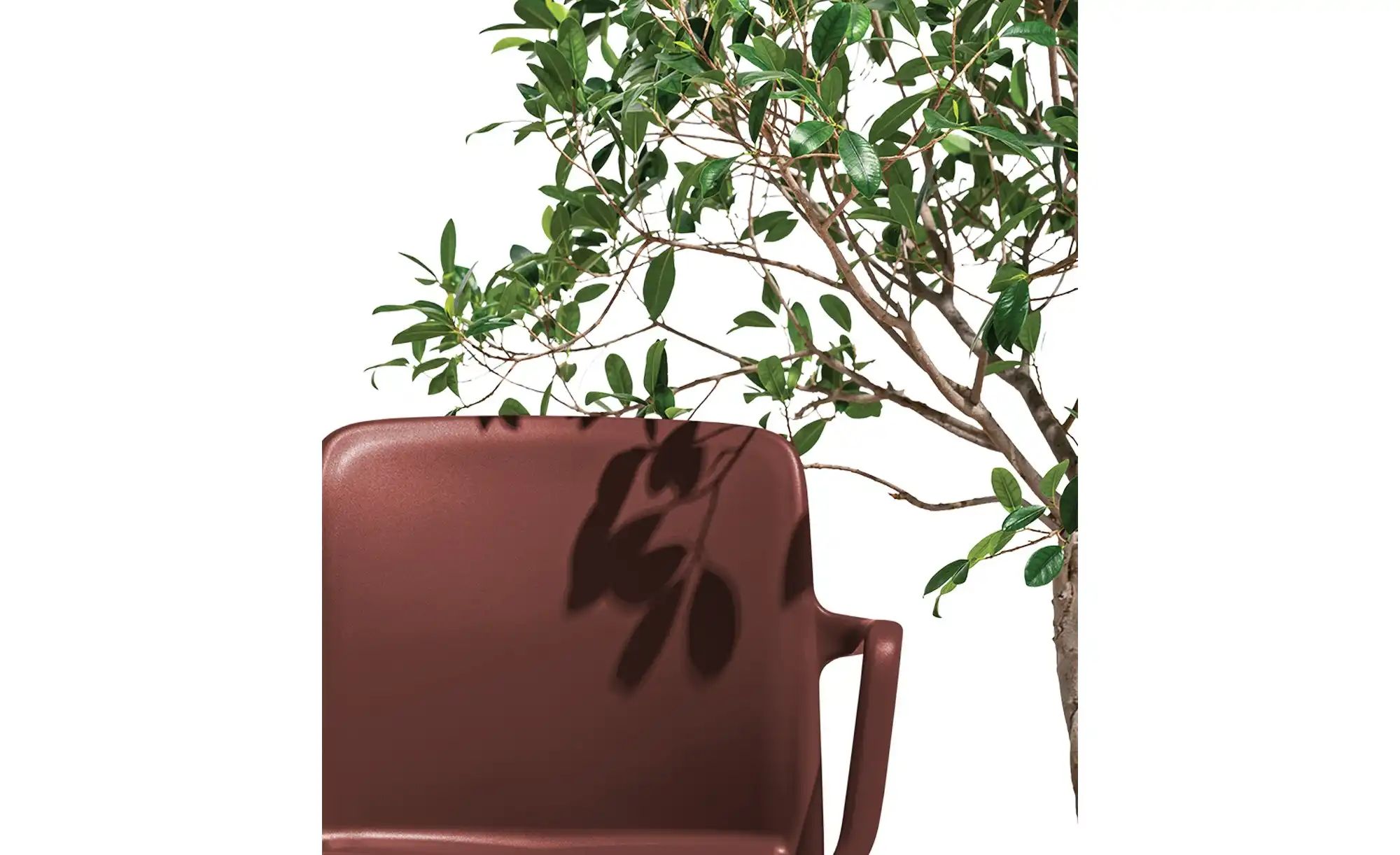 Connubia Stuhl stapelbar Bayo ¦ rot ¦ Maße (cm): B: 60 H: 82,5 T: 54.0 Stüh günstig online kaufen