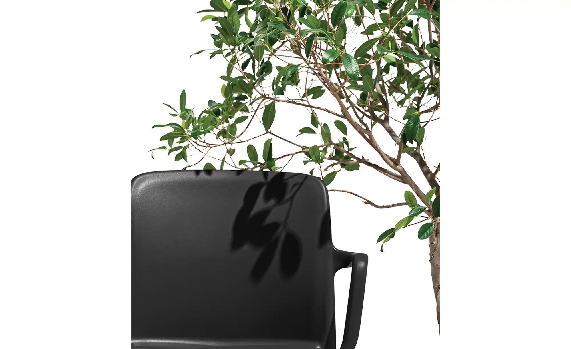 Connubia Stuhl stapelbar Bayo ¦ schwarz ¦ Maße (cm): B: 60 H: 82,5 T: 54.0 günstig online kaufen