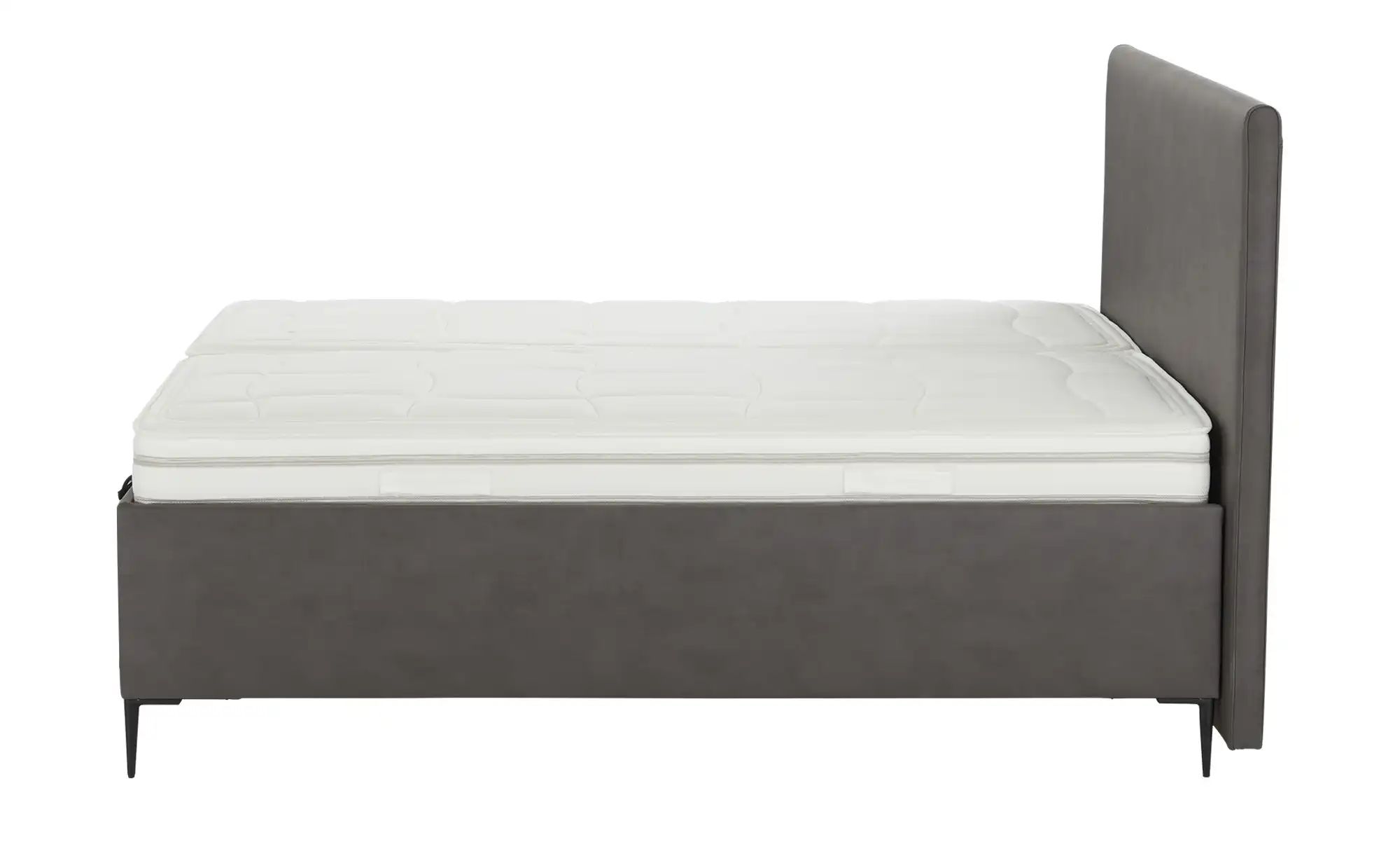 Wohnwert Polsterbett  Tauris 2.0 ¦ grau ¦ Maße (cm): B: 188 H: 120 Betten > günstig online kaufen