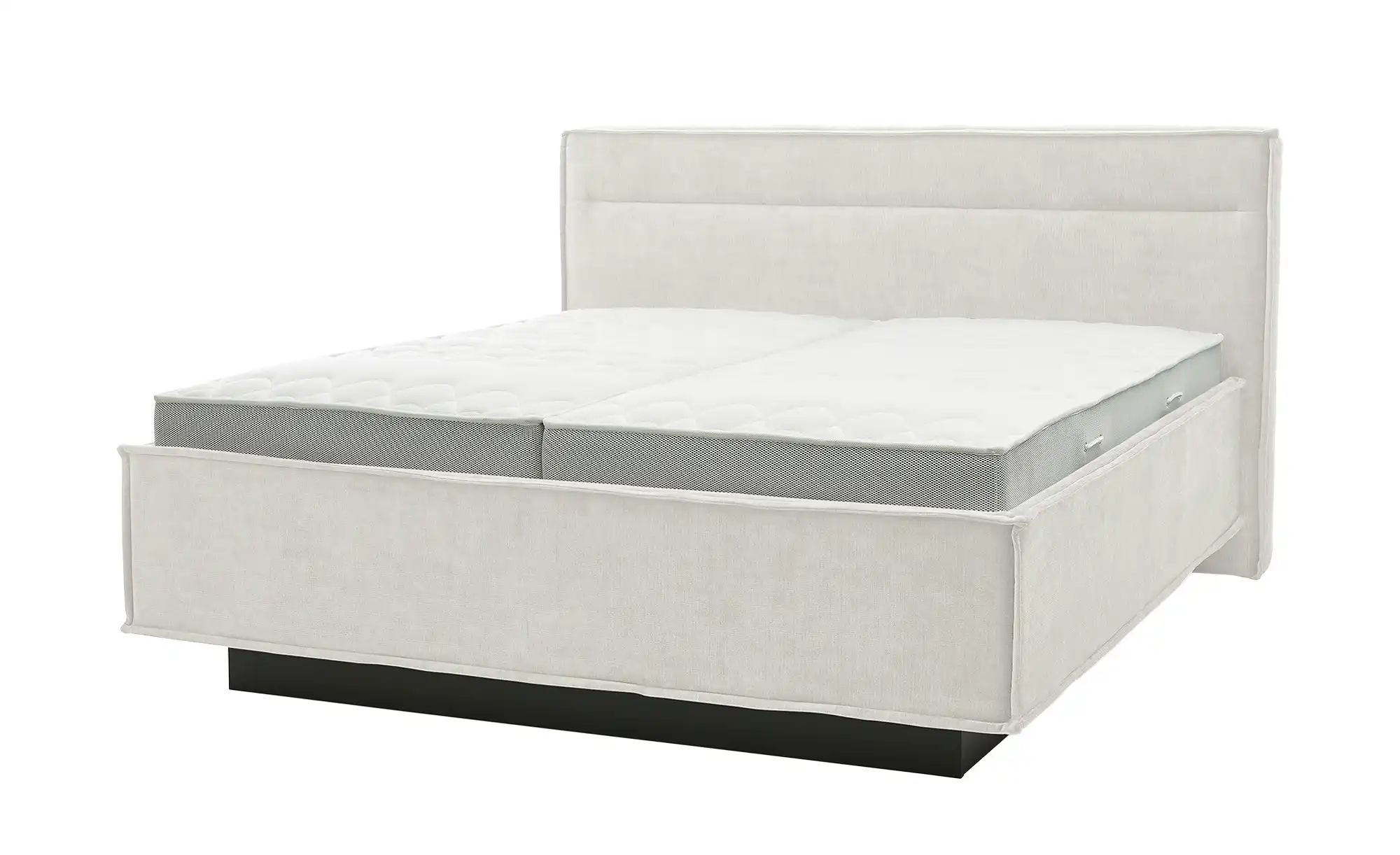 Musterring Polsterbett  JustB! ¦ creme ¦ Maße (cm): B: 206 H: 115 Betten > günstig online kaufen