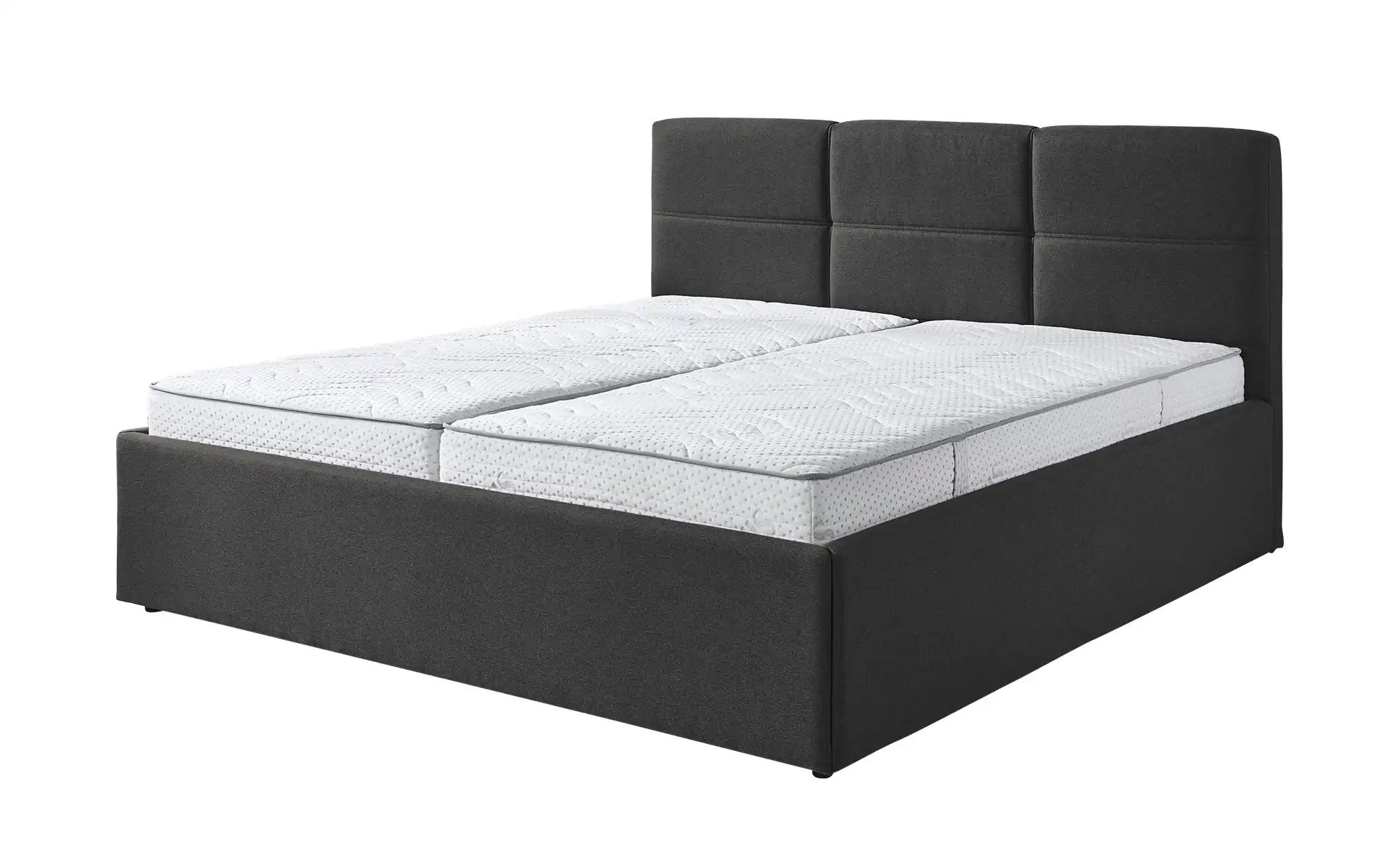 Polsterbett  Dursley  grau  Maße (cm): B: 193 H: 110 | 05900246518756