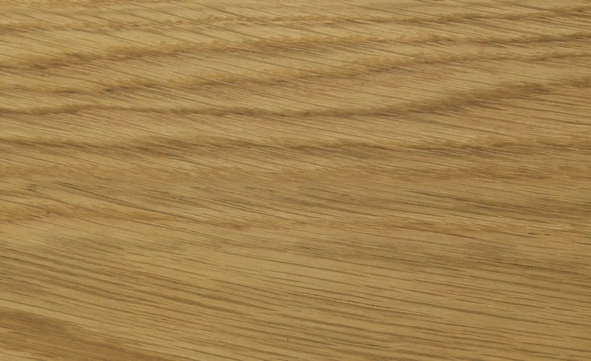 Vitrine  Enego ¦ beige ¦ Maße (cm): B: 90 H: 197 T: 40.0 Schränke > Vitrine günstig online kaufen