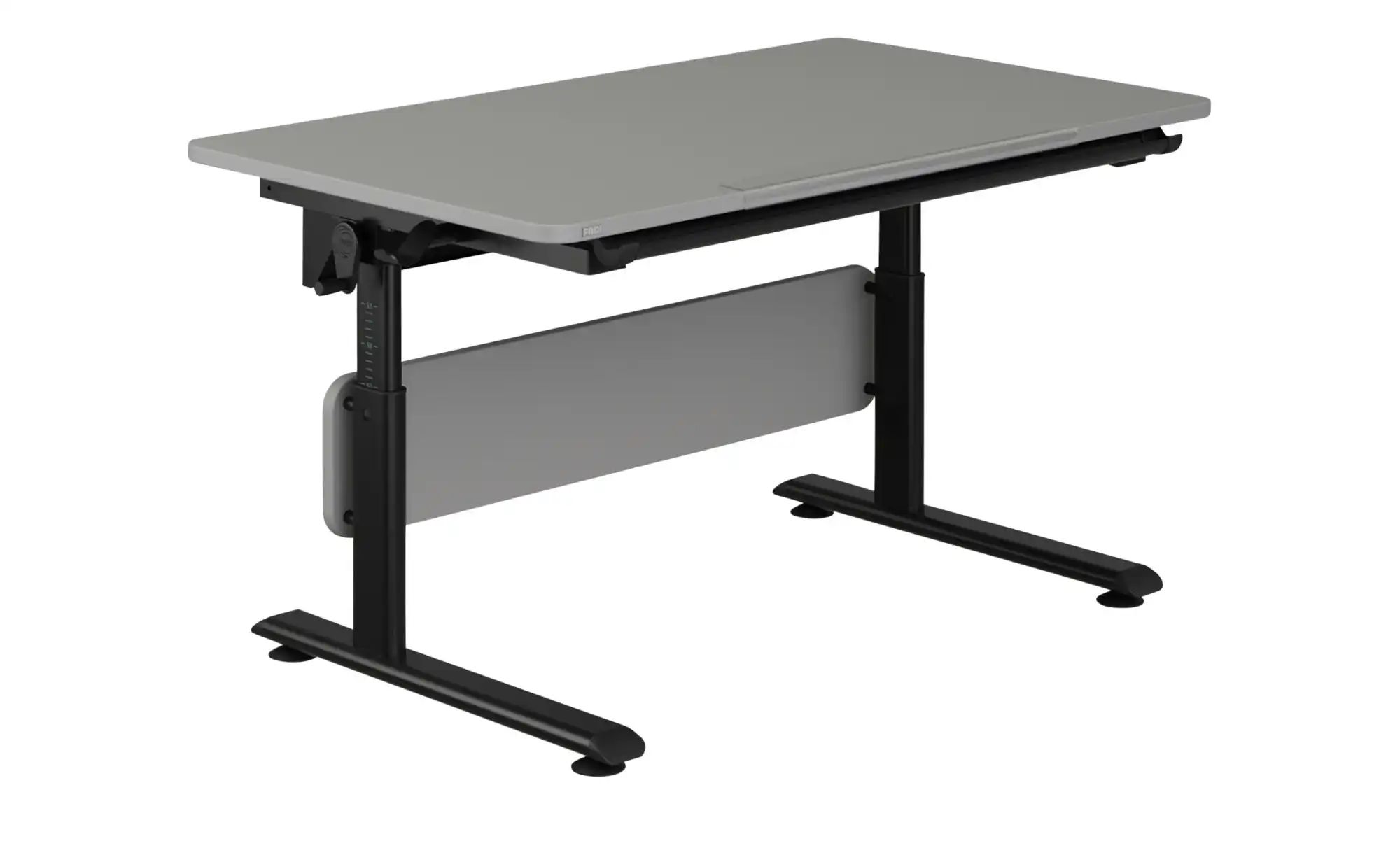 PAIDI Schülerschreibtisch  Diego Black ¦ grau ¦ Maße (cm): B: 120 H: 53 T: günstig online kaufen