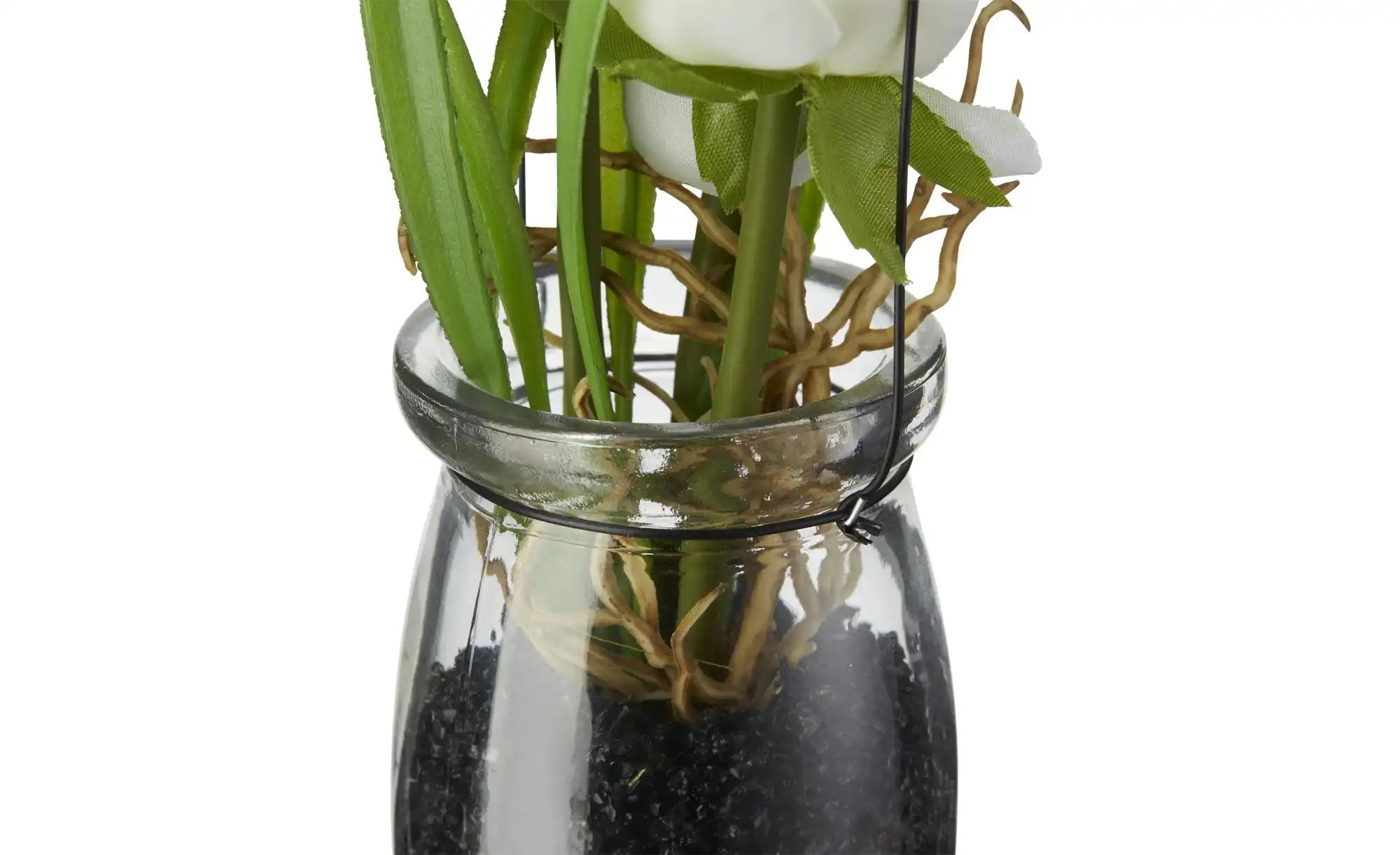 Thumbnail - Ranunkel in Glasvase   ¦ weiß ¦ Glas,Kunststoff,Sand,Eisendraht ¦ Maße (cm): H: 22  Ø: 6 Accessoires > Kunstblumen - Höf...