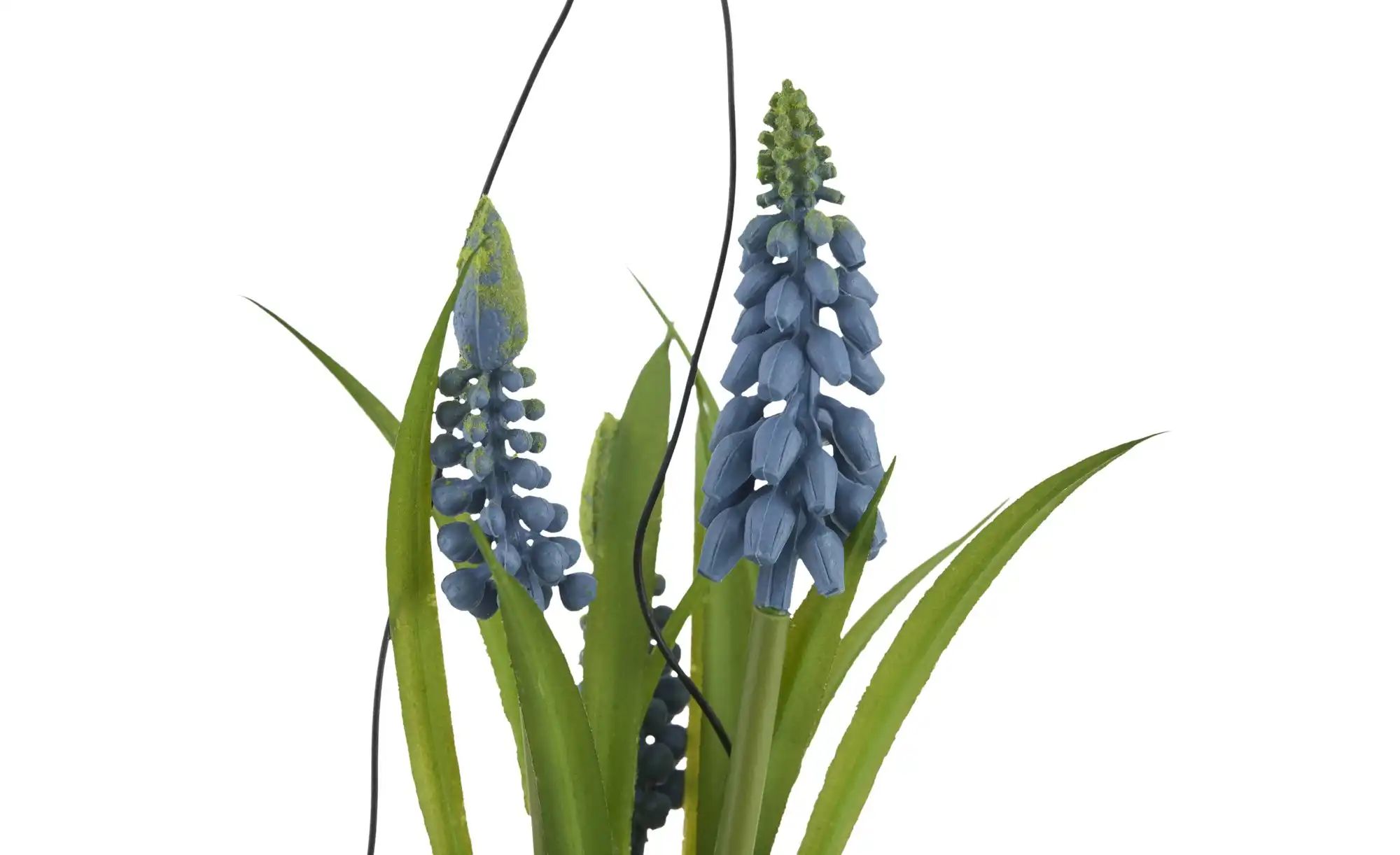 Hyazinthe in Glasvase   ¦ Glas,Kunststoff ¦ Maße (cm): H: 21  Ø: 6 Accessoi günstig online kaufen