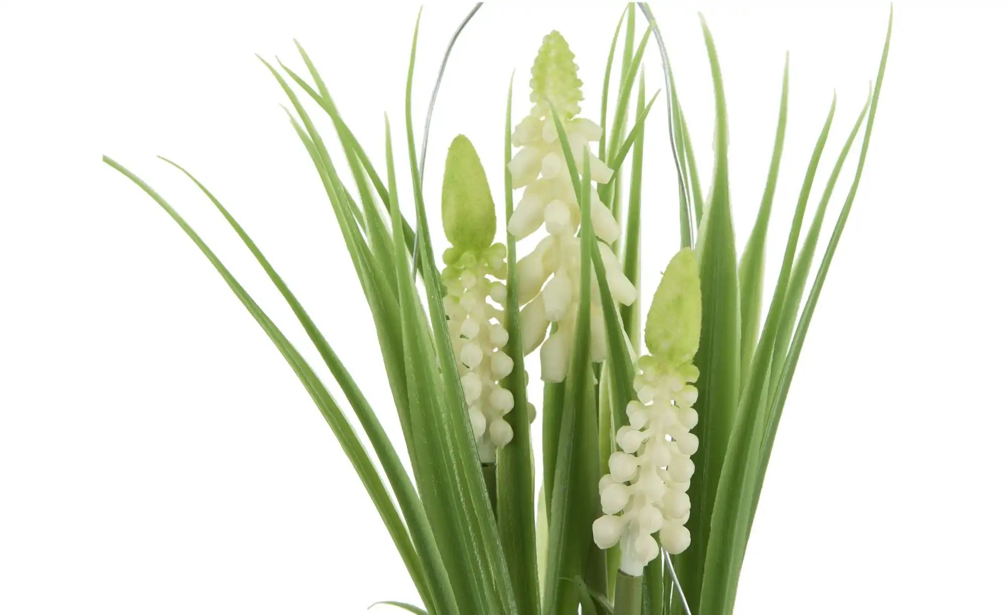 Hyazinte im Zinktopf   ¦ weiß ¦ Kunststoff,Eisen ¦ Maße (cm): H: 22  Ø: 5.5 günstig online kaufen