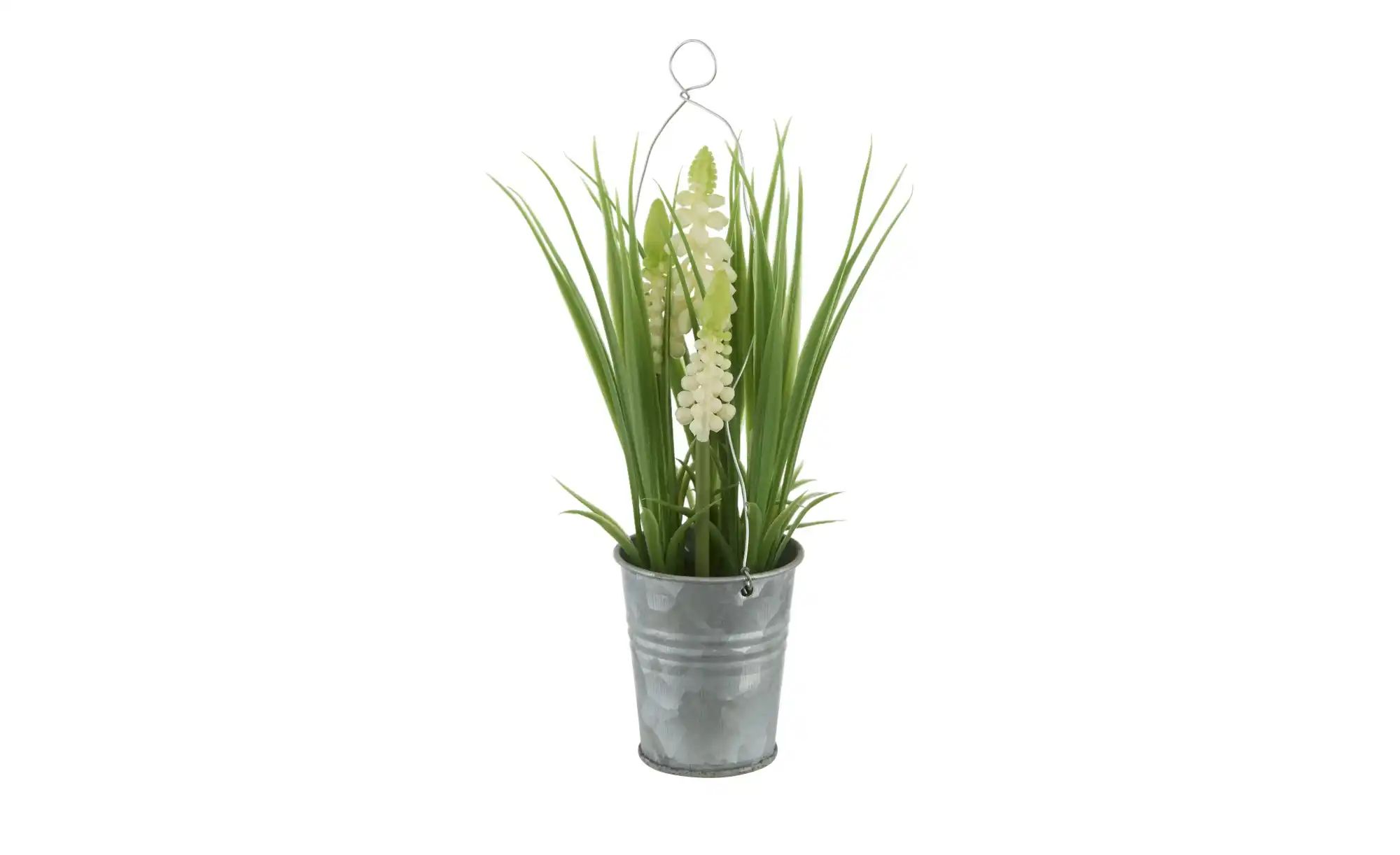 Hyazinte im Zinktopf   ¦ weiß ¦ Kunststoff,Eisen ¦ Maße (cm): H: 22  Ø: 5.5 günstig online kaufen