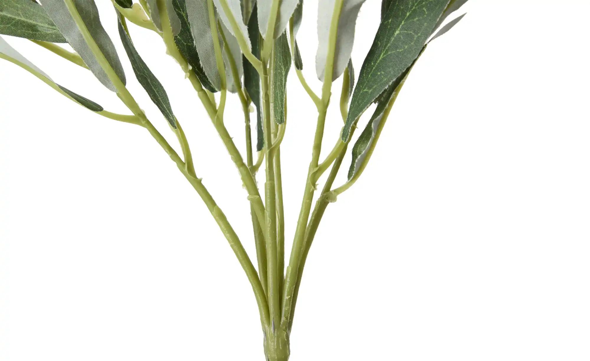 Thumbnail - Olivenzweig   ¦ grün ¦ Kunststoff ¦ Maße (cm): H: 39  Ø: 23 Accessoires > Kunstblumen - Höffner