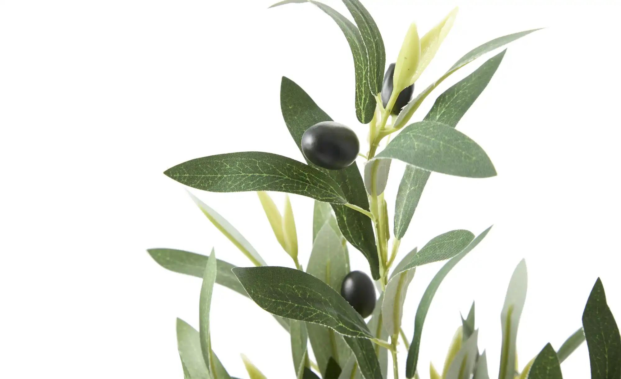 Thumbnail - Olivenzweig   ¦ grün ¦ Kunststoff ¦ Maße (cm): H: 39  Ø: 23 Accessoires > Kunstblumen - Höffner