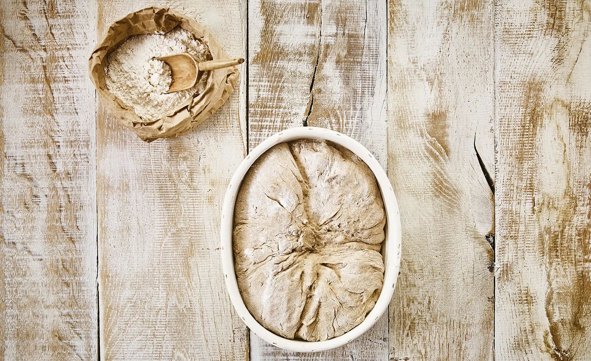 Birkmann Gärkörbchen  Laib & Seele ¦ Seegras,Bambus ¦ Maße (cm): B: 18,5 H: günstig online kaufen