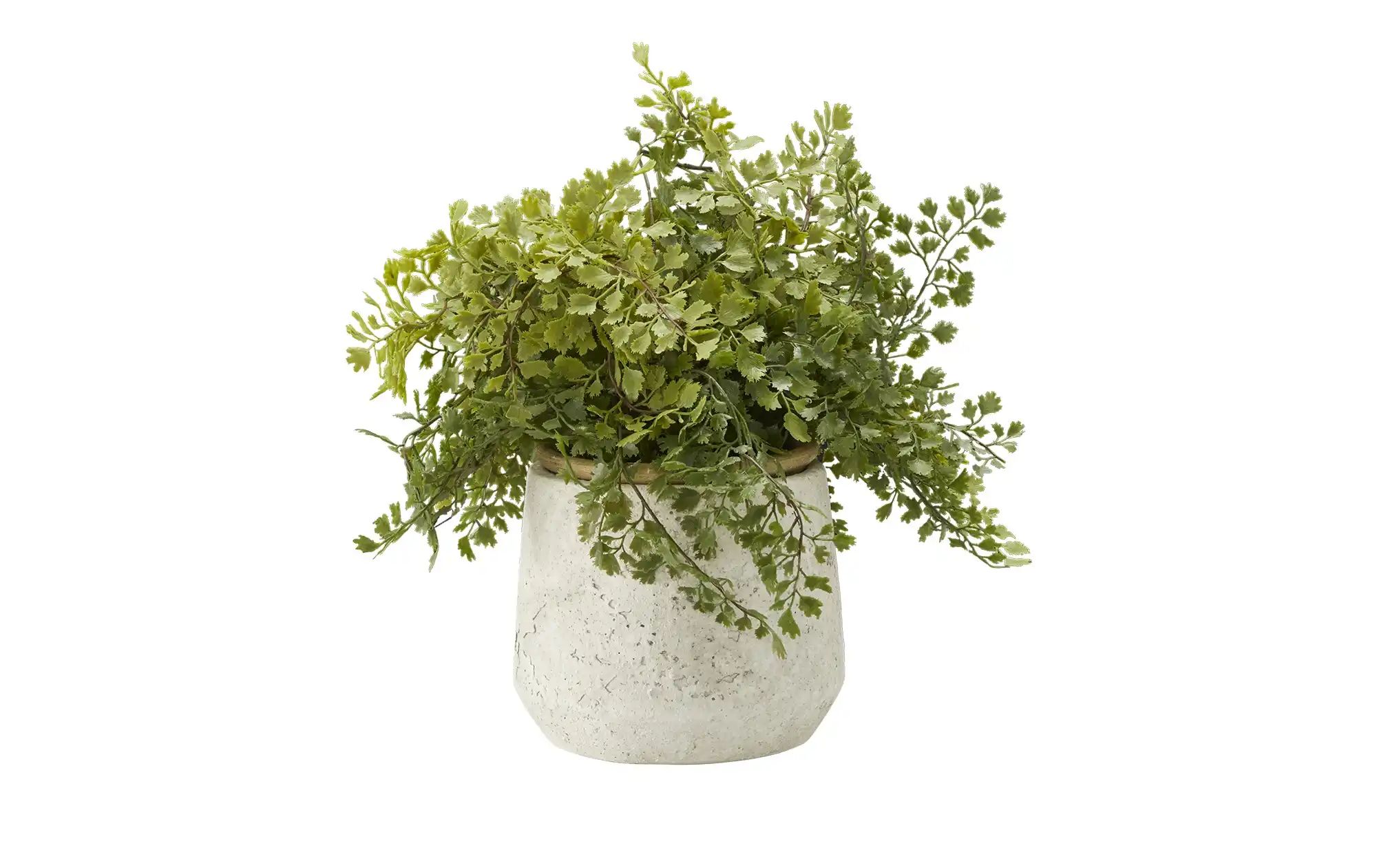 HOME STORY Übertopf   ¦ creme ¦ Steinzeug ¦ Maße (cm): H: 11  Ø: 13.5 Acces günstig online kaufen