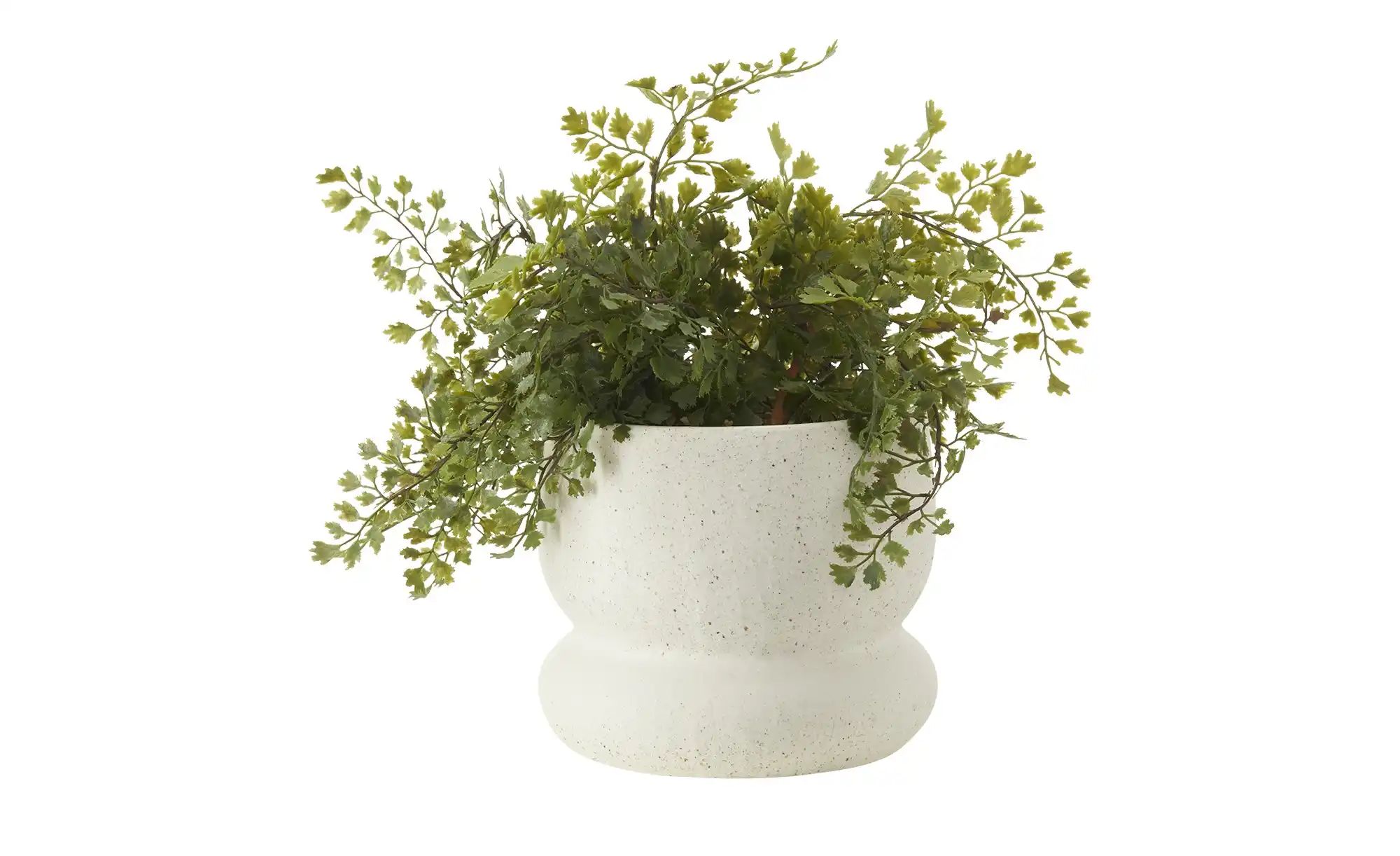 Übertopf   ¦ creme ¦ Steingut ¦ Maße (cm): H: 12,2  Ø: 14 Accessoires > Dek günstig online kaufen