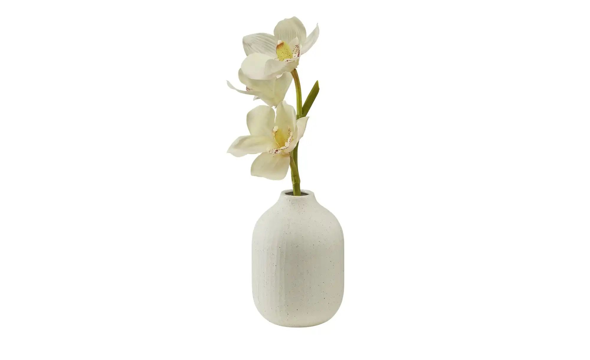 Thumbnail - HOME STORY Vase   ¦ creme ¦ Steingut ¦ Maße (cm): H: 17  Ø: 12 Accessoires > Vasen - Höffner
