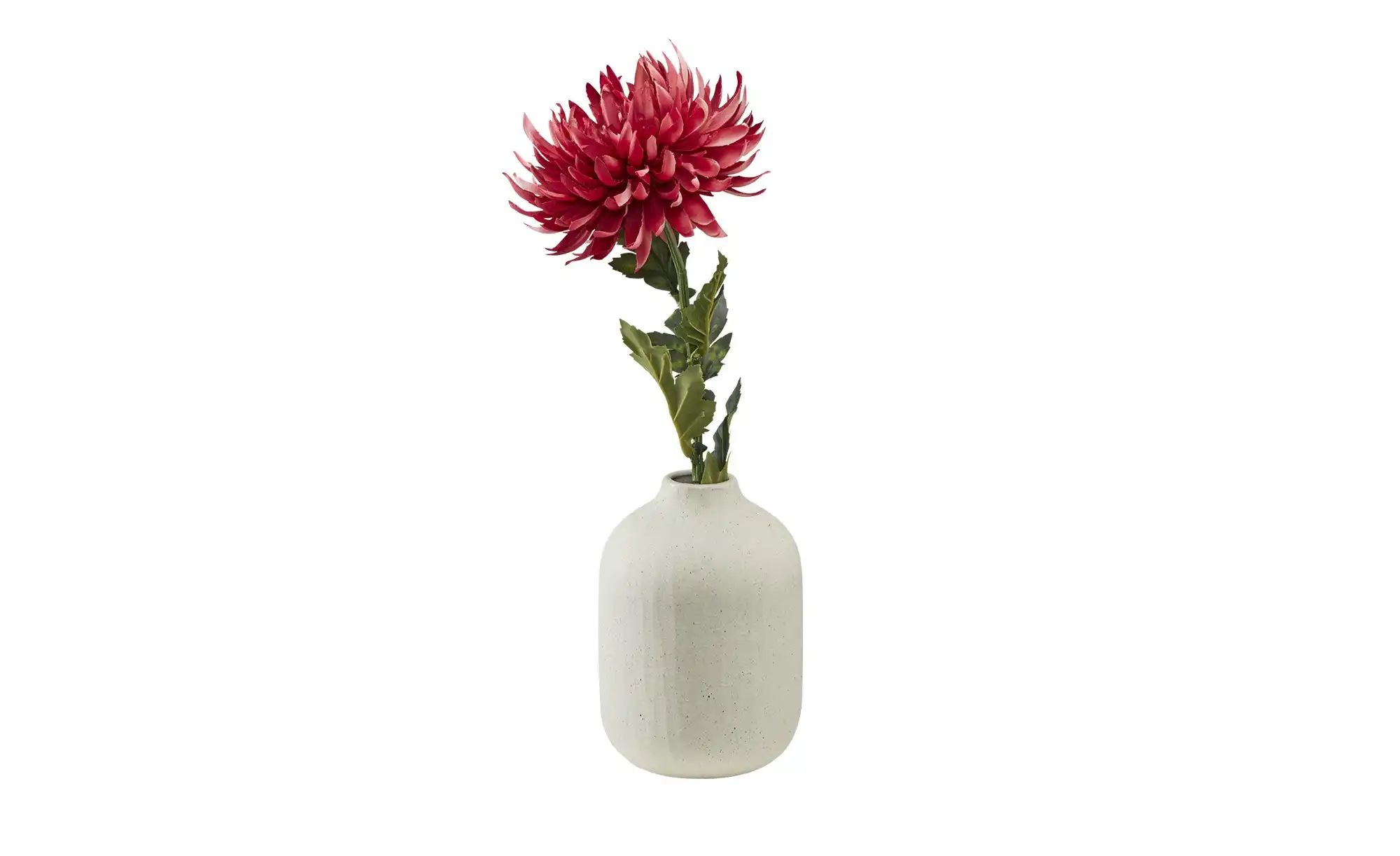 HOME STORY Vase   ¦ creme ¦ Steingut ¦ Maße (cm): H: 20  Ø: 14.3 Accessoire günstig online kaufen