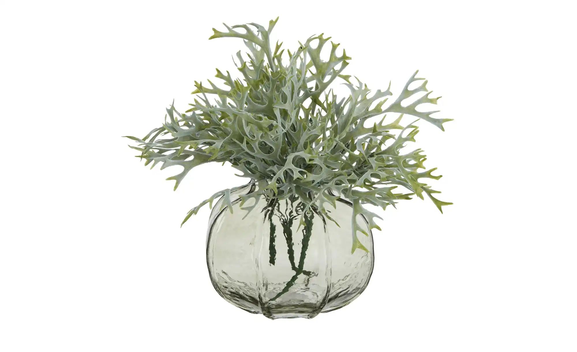 HOME STORY Vase ¦ grau ¦ Glas ¦ Maße (cm): H: 14,8  Ø: 20 Accessoires > Vas günstig online kaufen