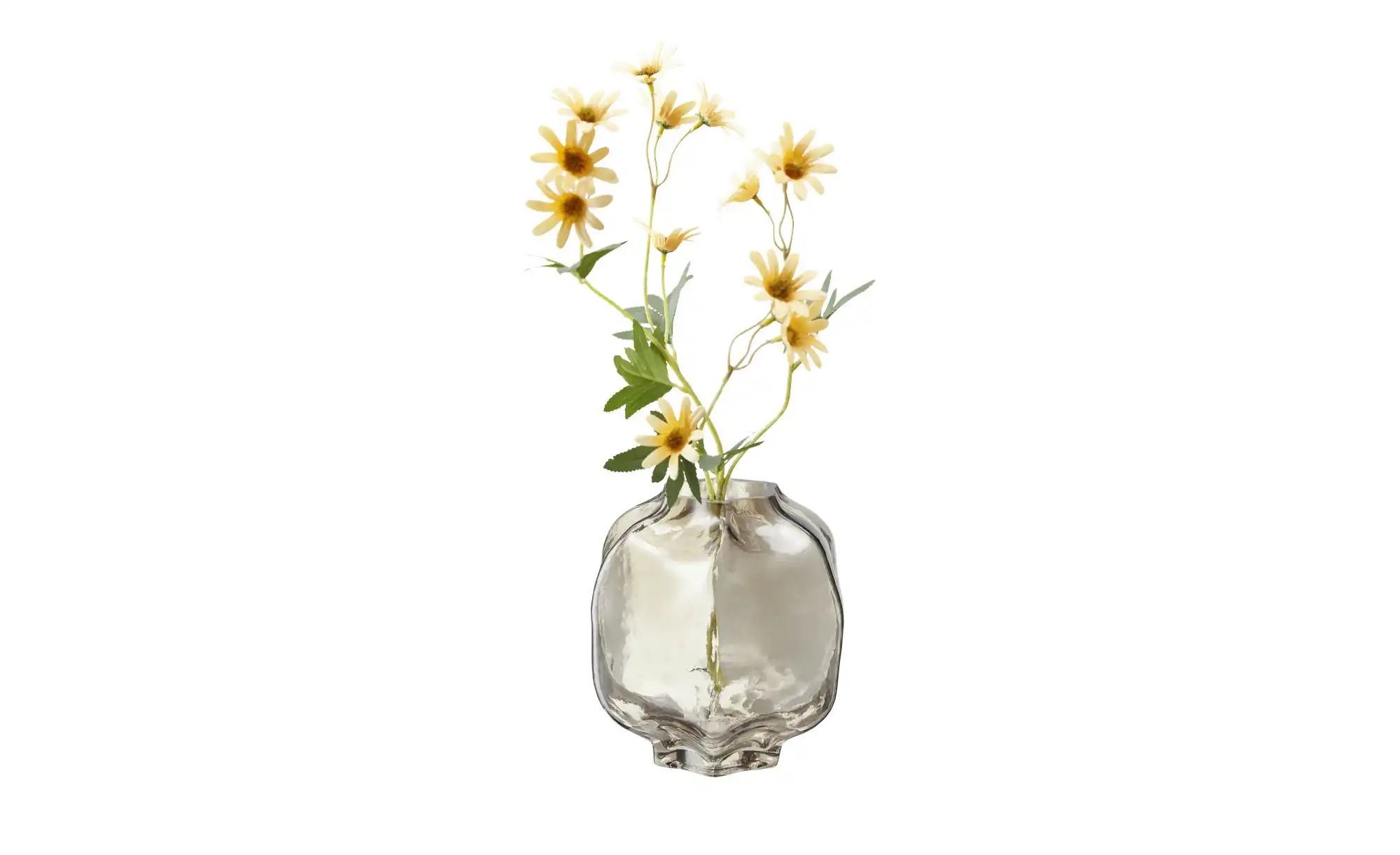HOME STORY Vase   ¦ grau ¦ Glas ¦ Maße (cm): H: 18  Ø: 17 Accessoires > Vas günstig online kaufen