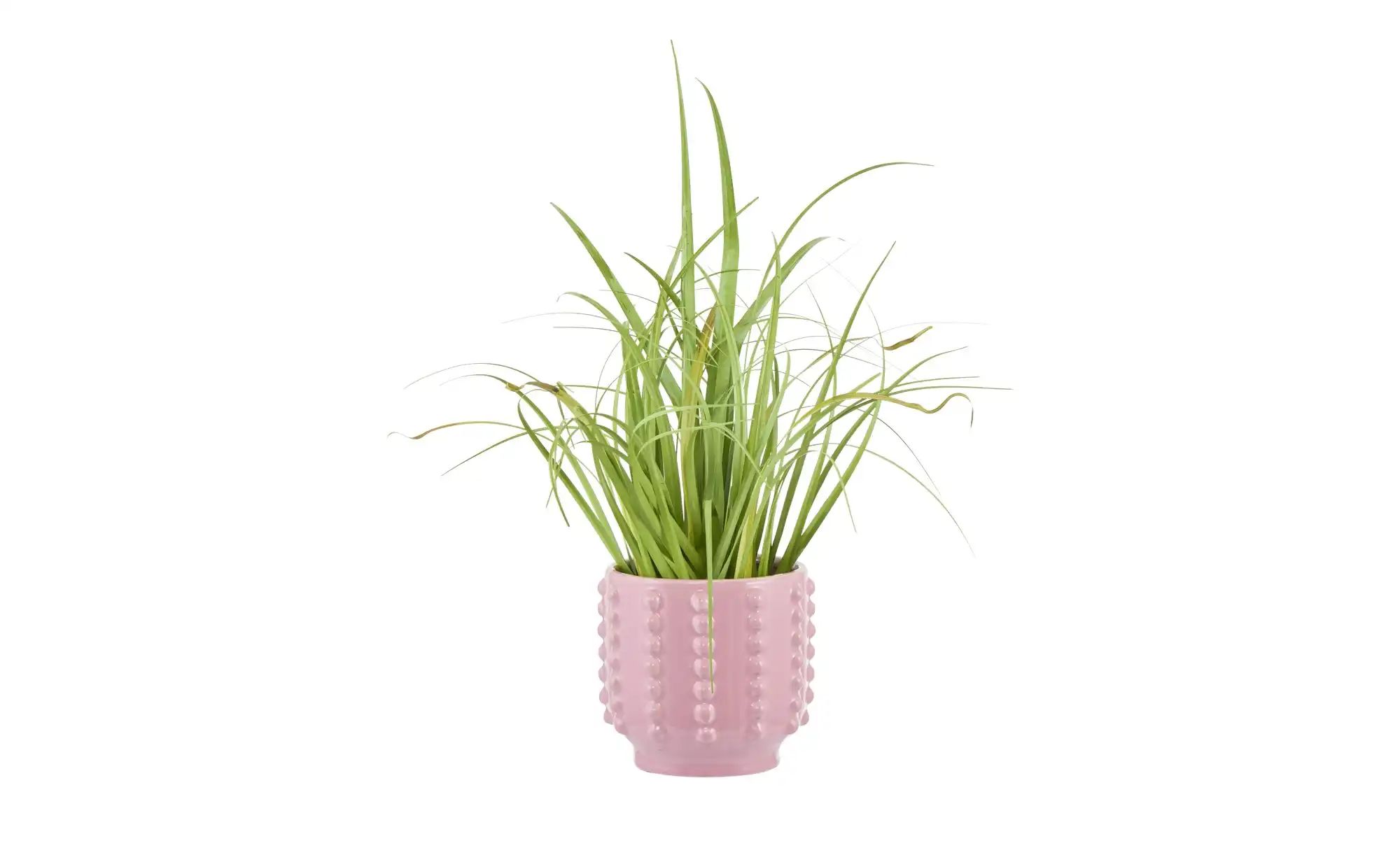 Thumbnail - Übertopf ¦ rosa/pink ¦ Keramik ¦ Maße (cm): H: 13,5 Ø: 14.5 Accessoires > Dekoartikel - Höffner